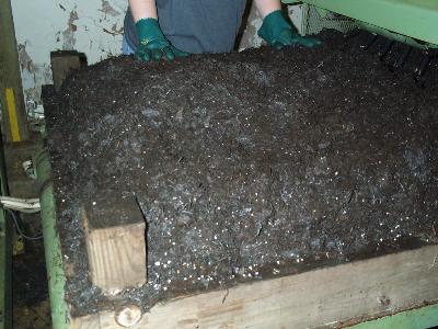 mixing spawn into the compost