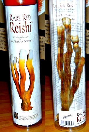 commercially available antler form of Reishi