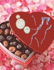 Beautiful fungally decorated box Valentine's chocolate-- you never know what yer gonna get!