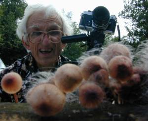 Spinellus on M. haematopus, viewed by Sam Ristich