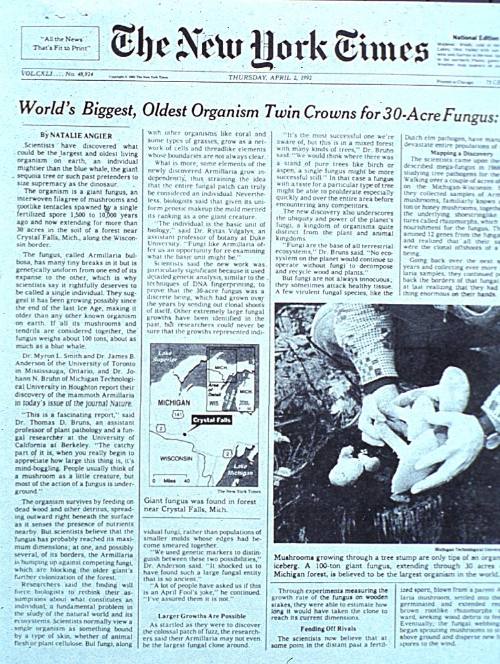 New York Times April 2, 2002