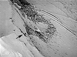 White-rot fungi caused the pockmarks on the surface of the phenolic resin plastic shown in this scanning electron microscope image.