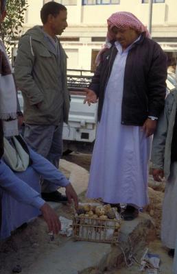 Bedouin with desert truffles, photo by Aramco, used by permission